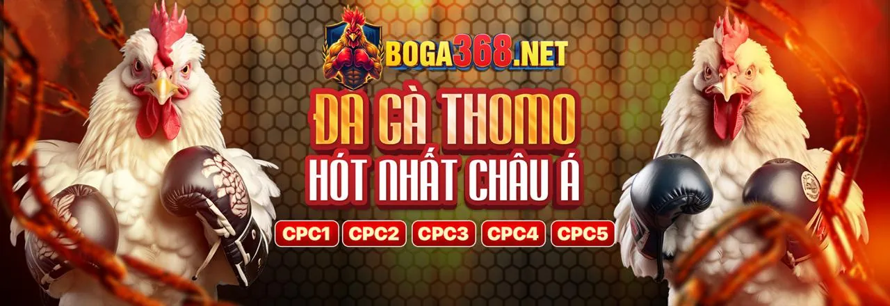 Đá Gà Trực Tuyến jun88wnet1 2026